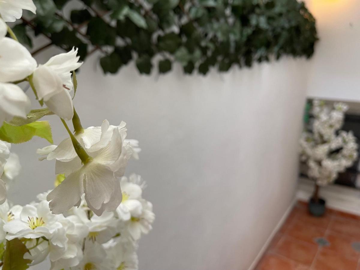 Dream Recova Daire Santa Cruz de Tenerife Dış mekan fotoğraf