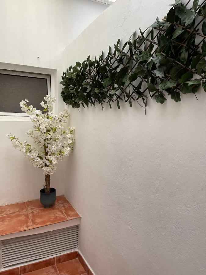 Dream Recova Daire Santa Cruz de Tenerife Dış mekan fotoğraf